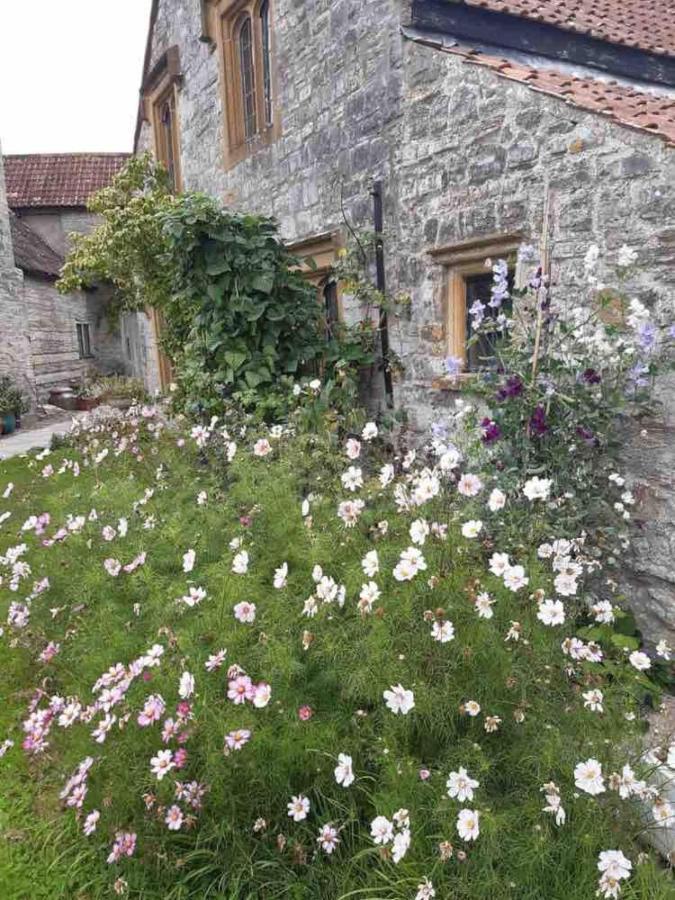 The Manor House, Curry Mallet Taunton Exterior foto